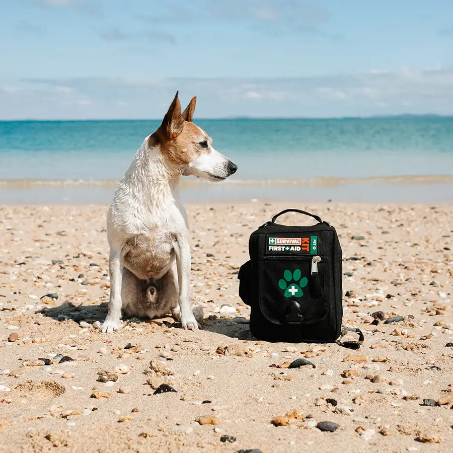 SURVIVAL First Aid KIT Pet