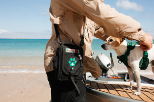 SURVIVAL First Aid KIT Pet