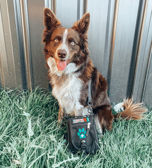 SURVIVAL First Aid KIT Pet