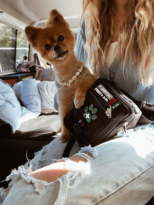 SURVIVAL First Aid KIT Pet